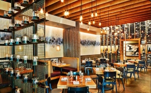 Elevate Your Dining Experience: Experience the Magic of Spiga's Dinner Menu