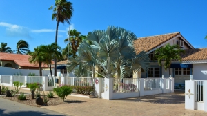 Exploring Aruba Real Estate Listings: Your Gateway to Paradise
